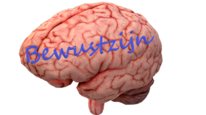 Bewustzijn is iets van de hersenen